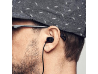 Daddario dBud Daddario dBud